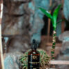 Manketti & Tea Tree Tissue oil